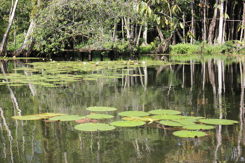 Hotel Y Restaurante Backpackers Rio Dulce Town Exteriér fotografie